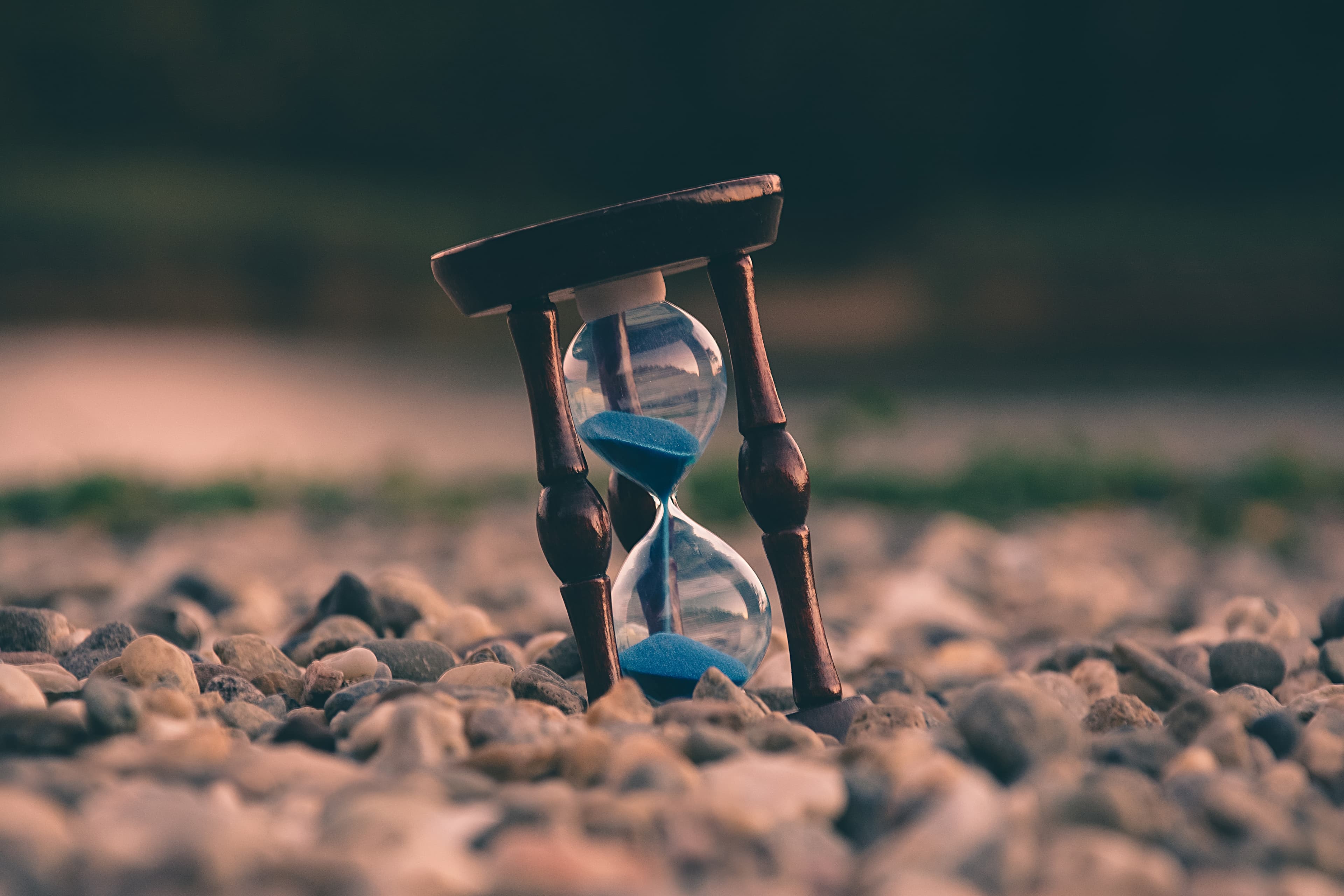 Time Series Forecasting